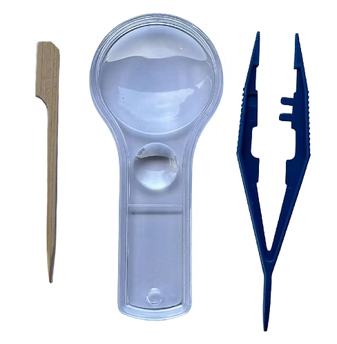 Small Owl Pellet Kit 6-Pack