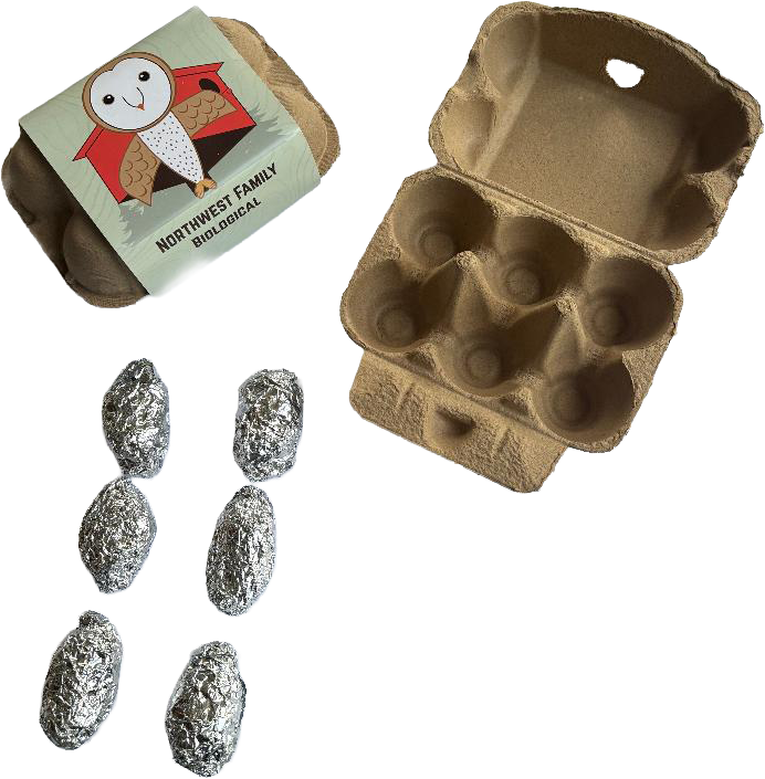 Small Owl Pellet Kit 6-Pack